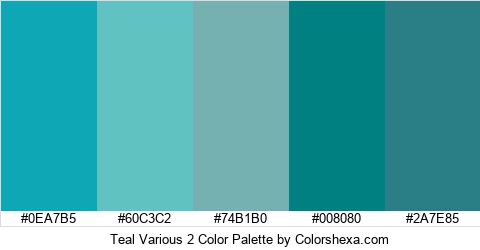 Teal Various 2 Color Colors Logo