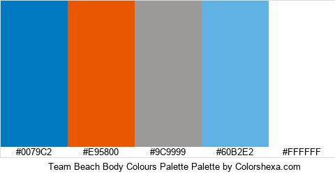 Team Beach Body Colours Palette Colors Logo