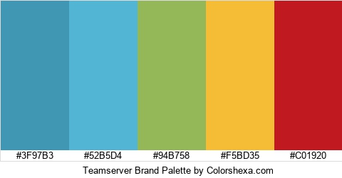 Teamserver Brand Colors Logo