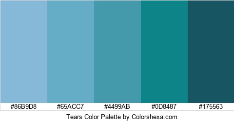 Tears Color Colors Logo