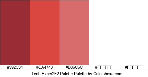 Tech Exper2F2 Palette Colors Logo