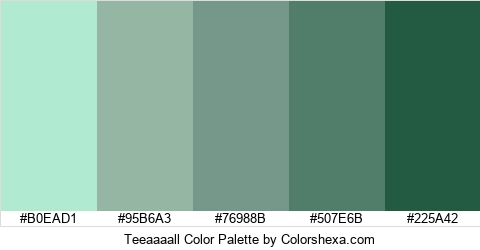 Teeaaaall Color Colors Logo