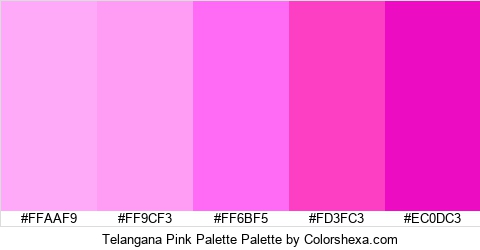 Telangana Pink Palette Colors Logo