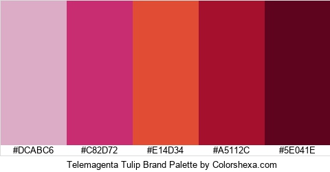 Telemagenta Tulip Brand Colors Logo