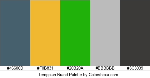 Tempplan Brand Colors Logo