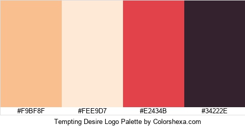 Tempting Desire Logo Colors Logo
