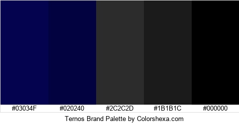 Ternos Brand Colors Logo