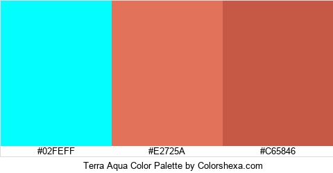 Terra Aqua Color Colors Logo