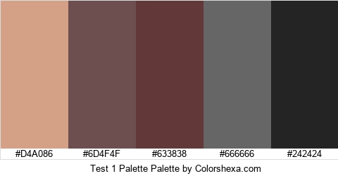 Test 1 Palette Colors Logo
