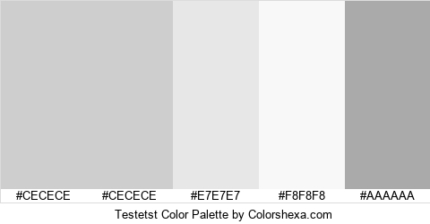 Testetst Color Colors Logo