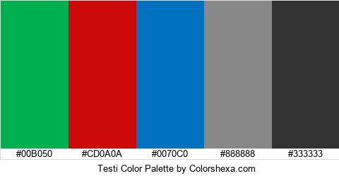 Testi Color Colors Logo