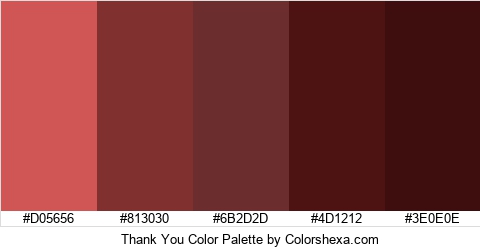 Thank You Color Colors Logo
