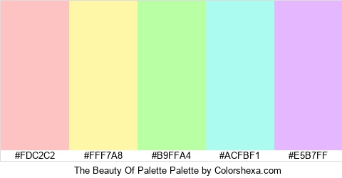 The Beauty Of Palette Colors Logo