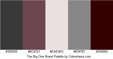 The Big One Brand Colors Logo