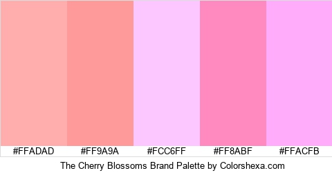 The Cherry Blossoms Brand Colors Logo