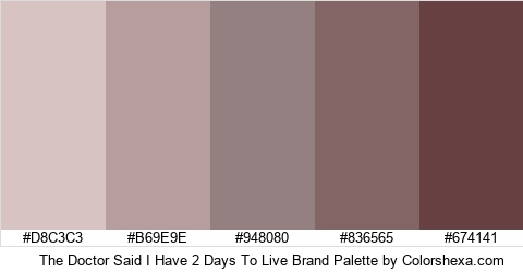 The Doctor Said I Have 2 Days To Live Brand Colors Logo
