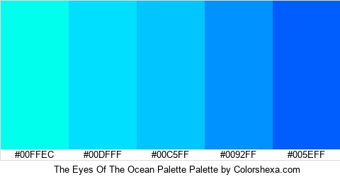 The Eyes Of The Ocean Palette Colors Logo