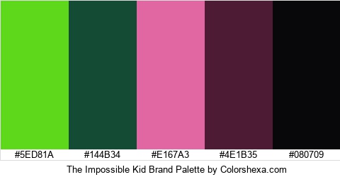 The Impossible Kid Brand Colors Logo