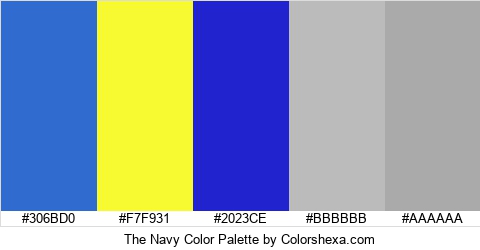The Navy Color Colors Logo
