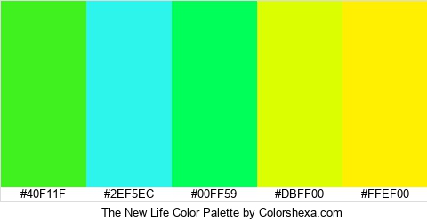 The New Life Color Colors Logo