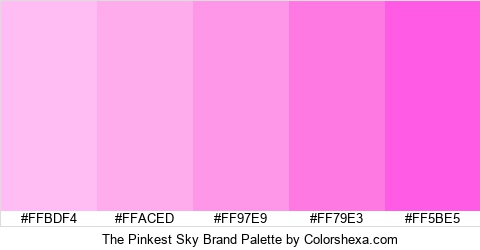 The Pinkest Sky Brand Colors Logo