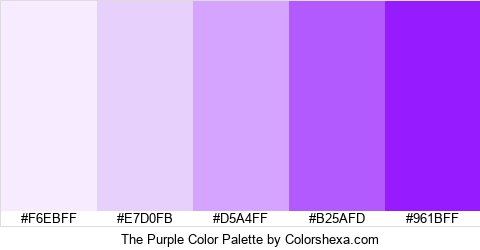 The Purple Color Colors Logo