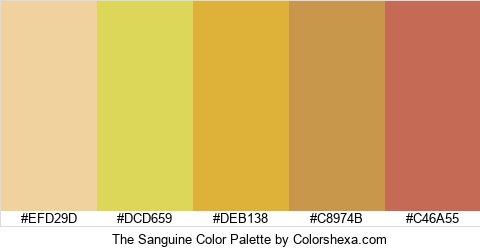 The Sanguine Color Colors Logo