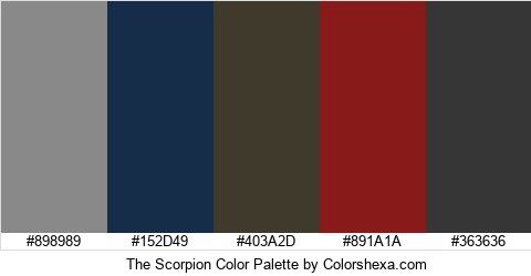 The Scorpion Color Colors Logo