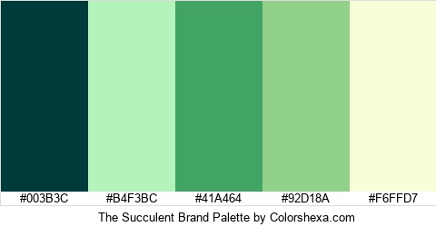 The Succulent Brand Colors Logo