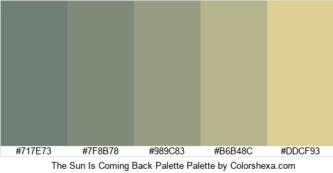 The Sun Is Coming Back Palette Colors Logo