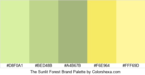 The Sunlit Forest Brand Colors Logo