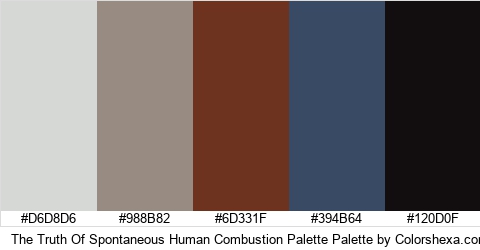 The Truth Of Spontaneous Human Combustion Palette Colors Logo