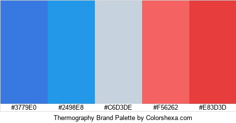 Thermography Brand Colors Logo