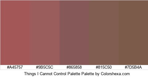 Things I Cannot Control Palette Colors Logo