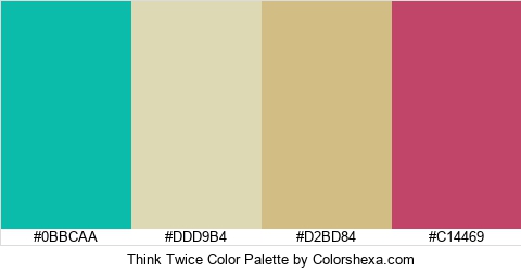 Think Twice Color Colors Logo