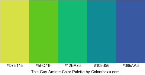 This Guy Amirite Color Colors Logo