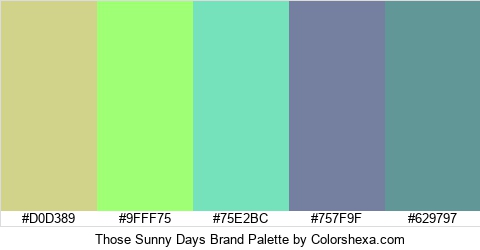 Those Sunny Days Brand Colors Logo