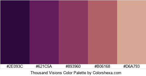 Thousand Visions Color Colors Logo