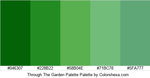 Through The Garden Palette Colors Logo