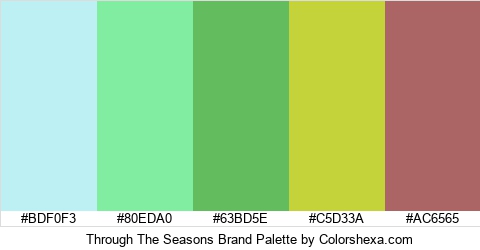 Through The Seasons Brand Colors Logo