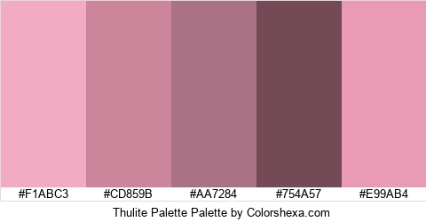 Thulite Palette Colors Logo