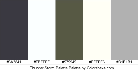 Thunder Storm Palette Colors Logo