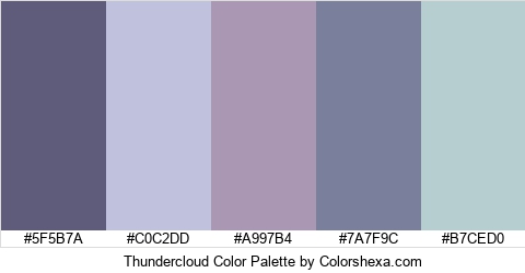 Thundercloud Color Colors Logo