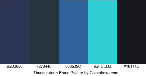 Thunderstorm Brand Colors Logo