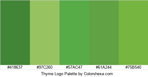 Thyme Logo Colors Logo