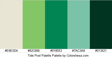Tide Pool Palette Colors Logo