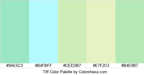 Tiff Color Colors Logo