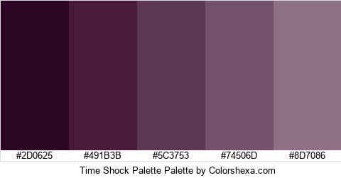 Time Shock Palette Colors Logo