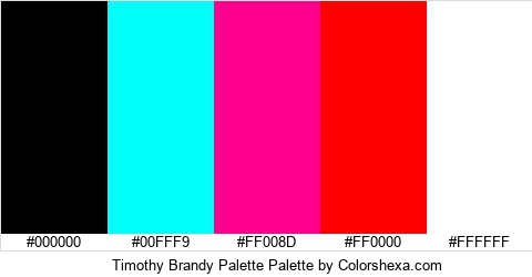 Timothy Brandy Palette Colors Logo