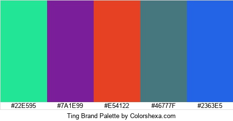 Ting Brand Colors Logo